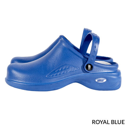 ROYAL BLUE color