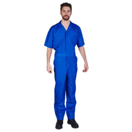 Royal Blue color